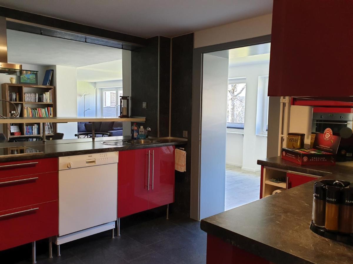 Kurpark-Suite Schonach im Schwarzwald Экстерьер фото